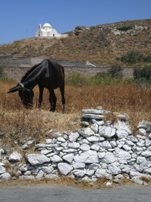 gaidouraki3.jpg vivlosfoto
