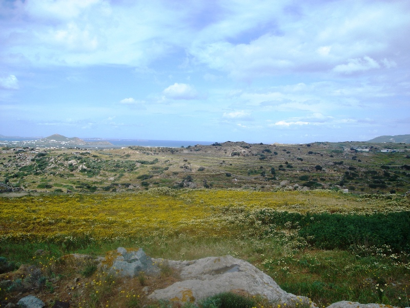 livadi.jpg vivlosfoto