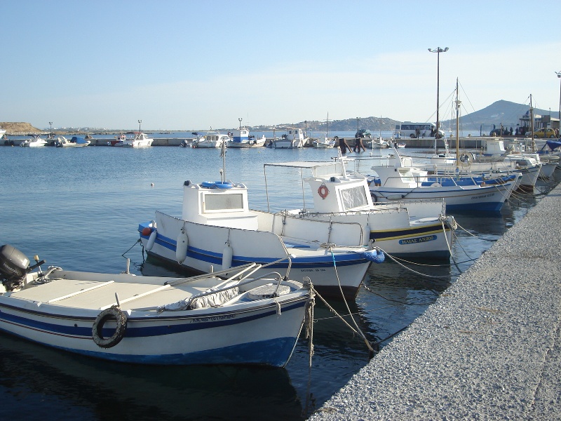xwra16.jpg vivlosfoto